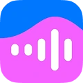 VK Music